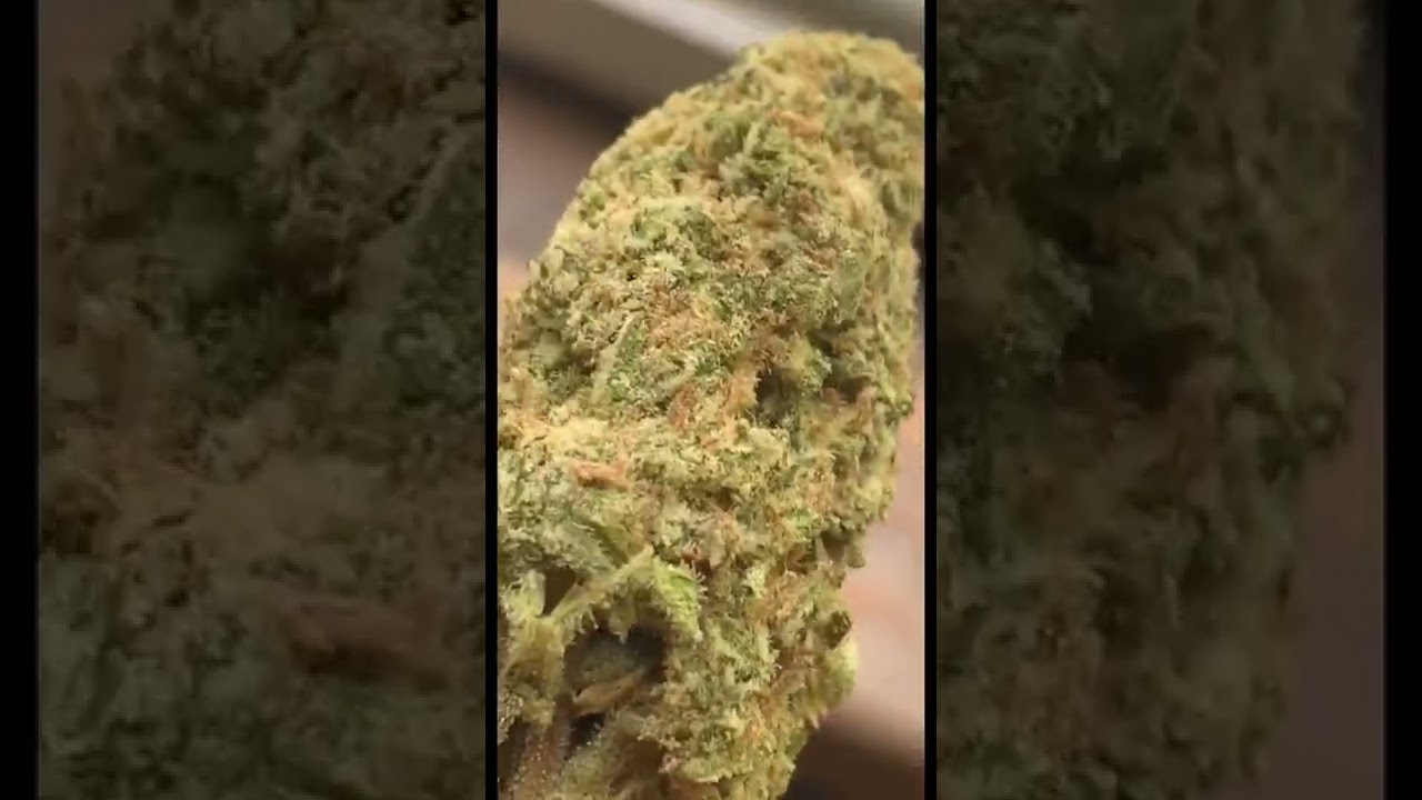 Berry White Nugs 🔥 Exotik Bred Delta 8 Flower