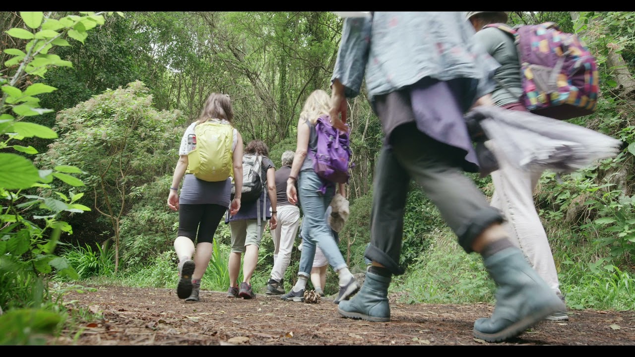 Turismo en el Parque Nacional de Garajonay