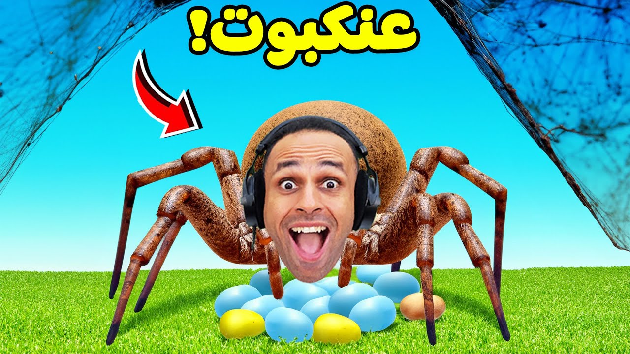 دورة حياة العنكبوت | Nature And Life - Drunk On Nectar !! 🕷🕸