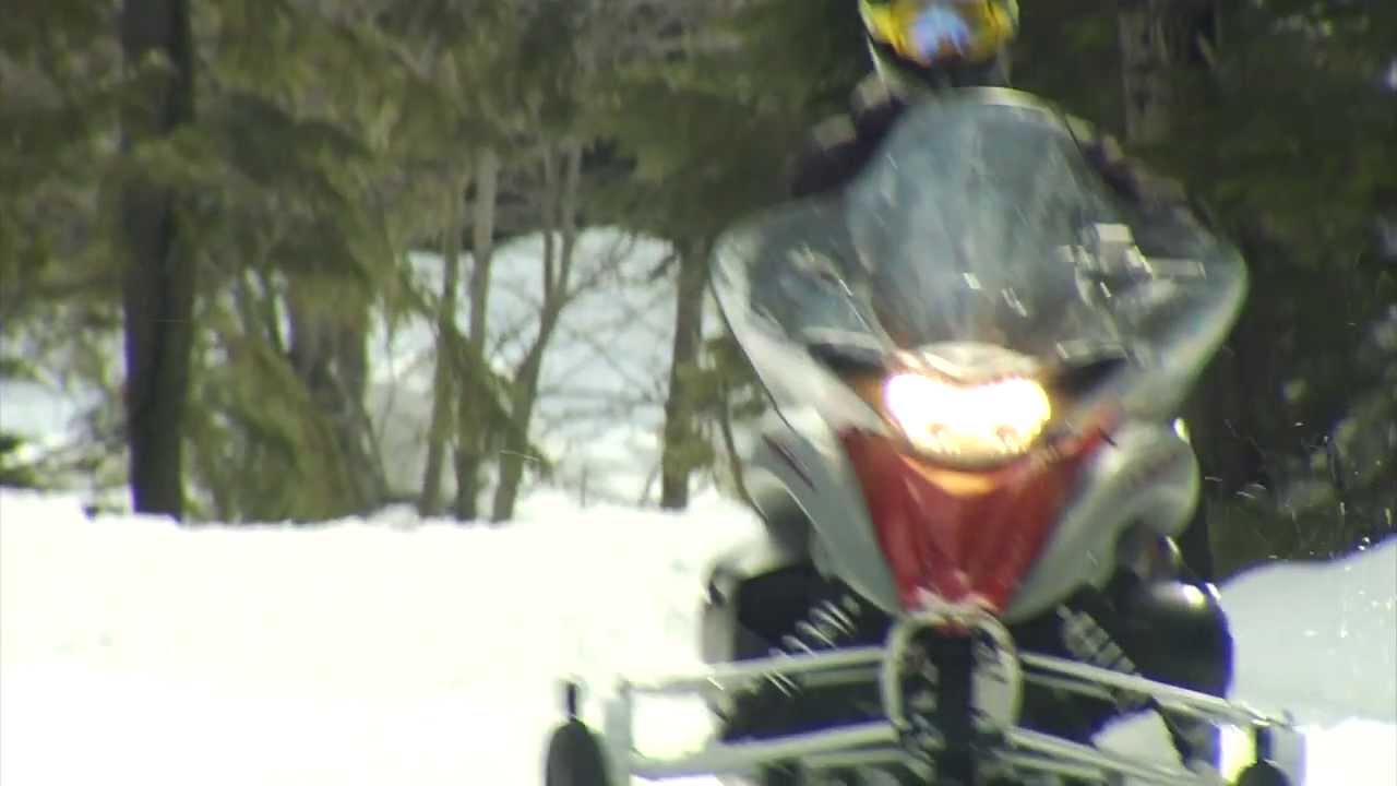 Snowmobiling - The Adventure Group, Whistler