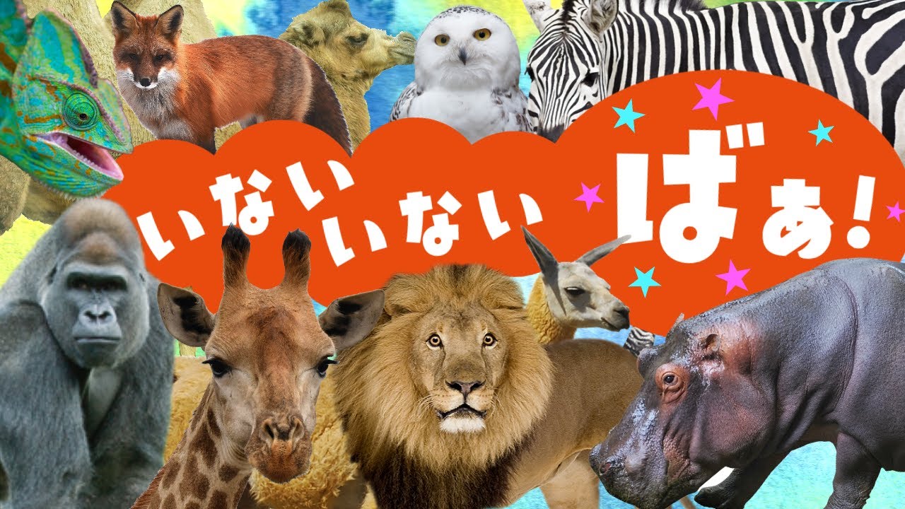 【赤ちゃん喜ぶ♪】いないいないばぁ！動物さんはだれかな？？