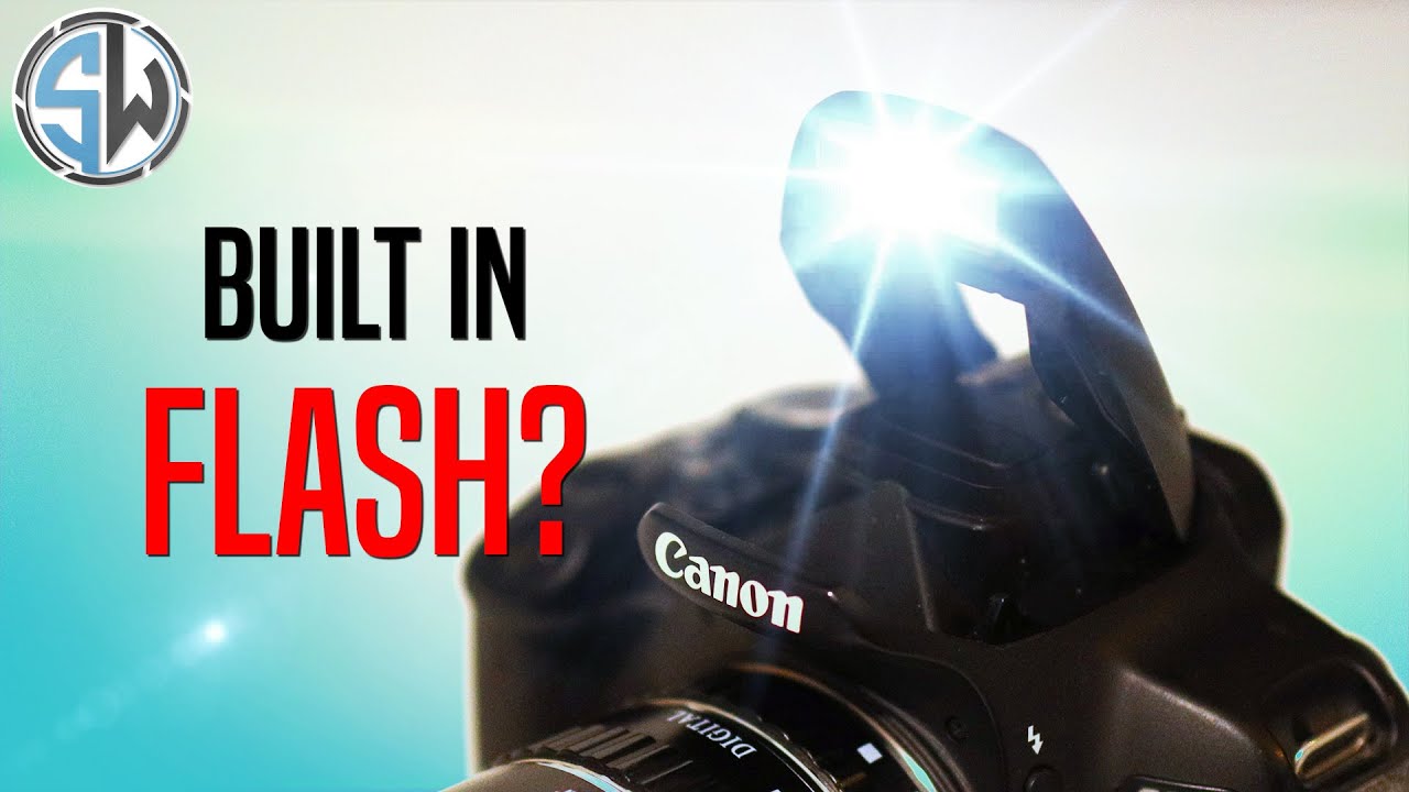 Can You Use the Built in Flash for Macro Photography? Let's Find Out!