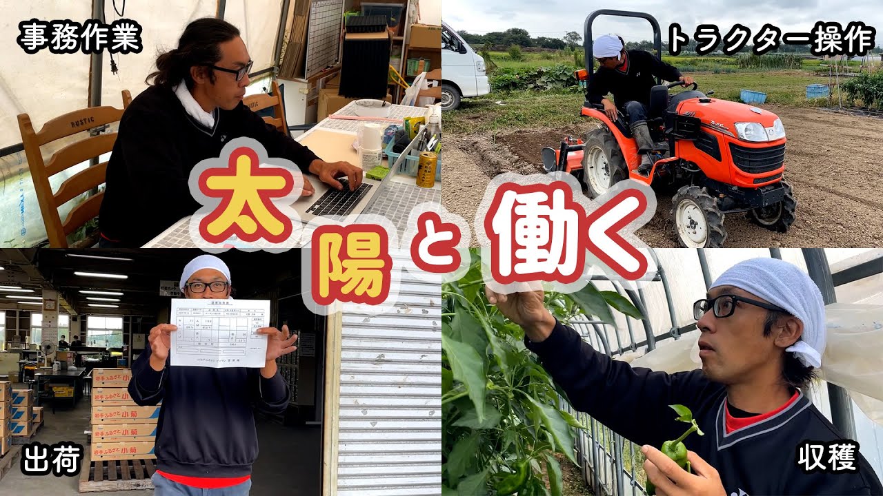 【農業】スローライフなんて大嘘！？ピーマン農家の多忙な1日！