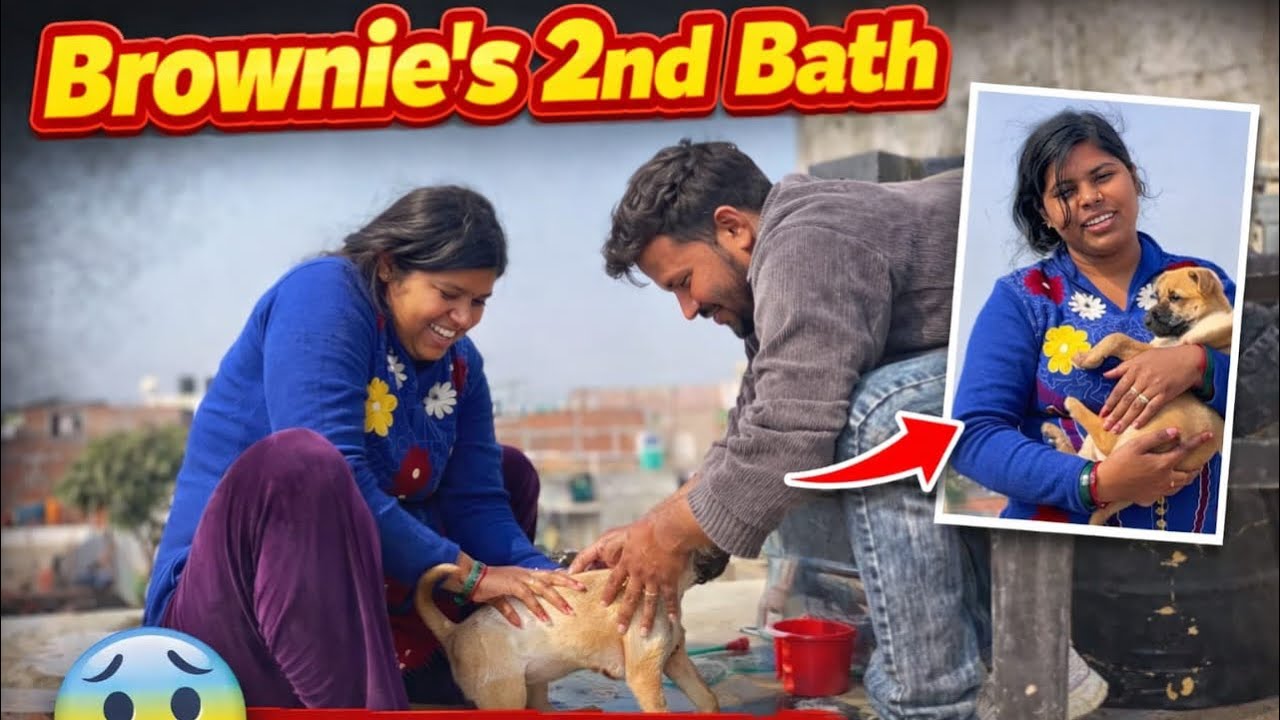 Brownie ki 2nd bath ||