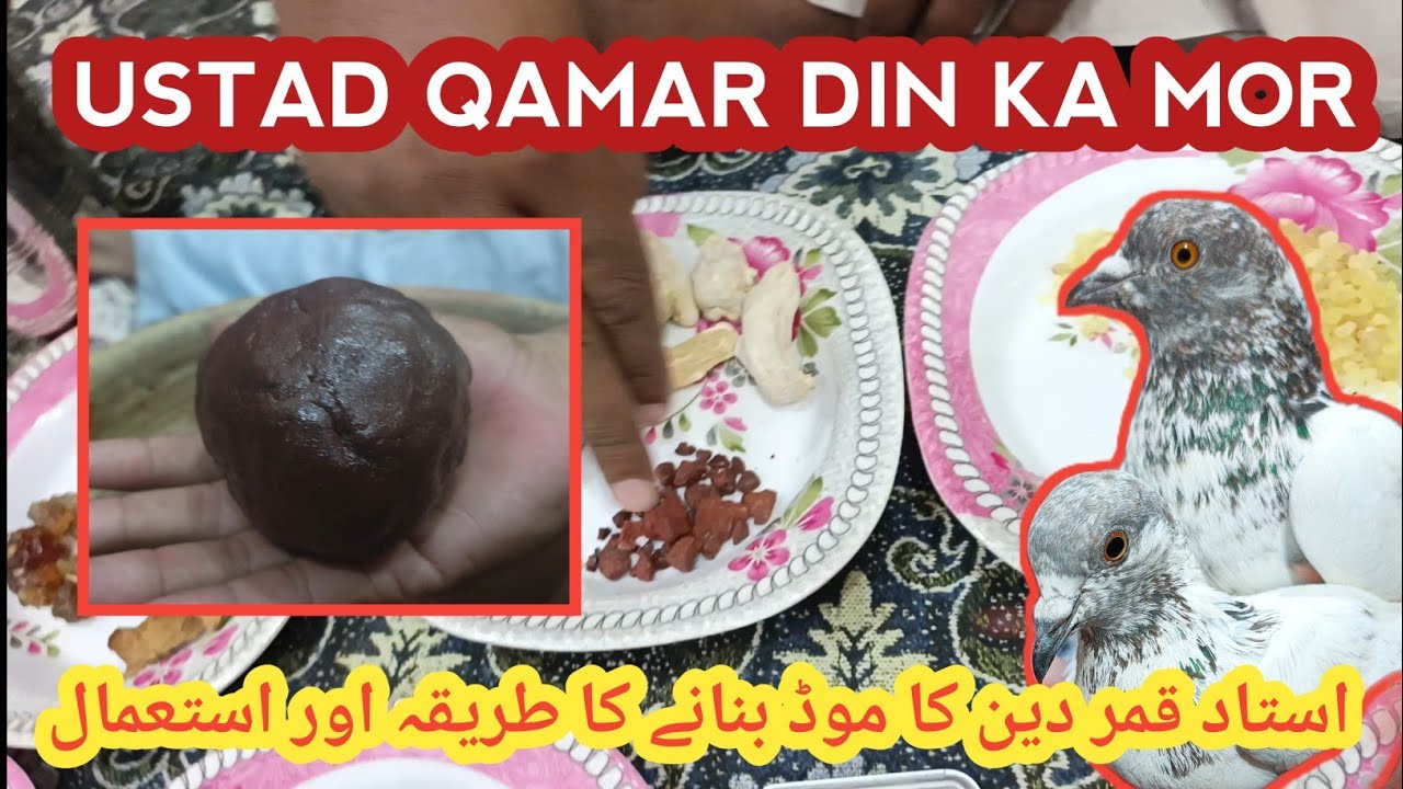 USTAD QAMAR DIN KA MOR BANAE OR LAGANE KA TARIKA OR ISTIMAL|| DOSAR WALA GUR OR KHEL
