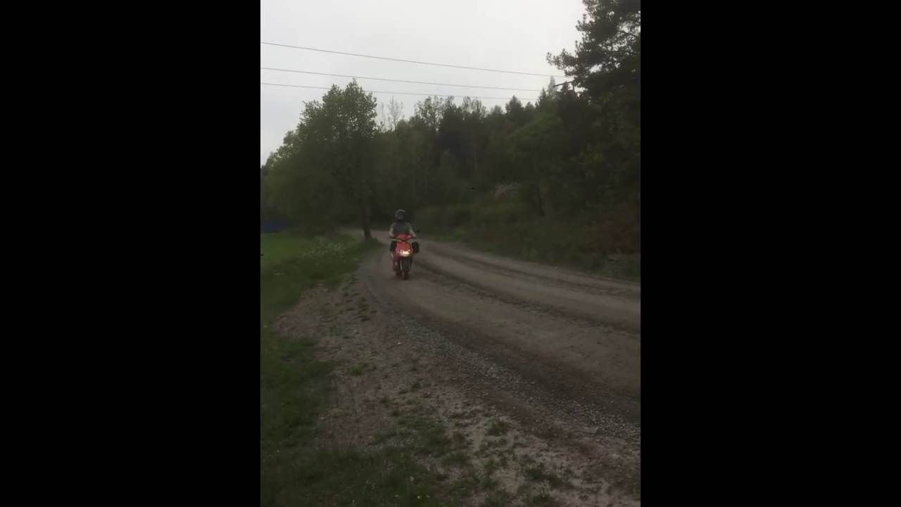 Trimmad moppe