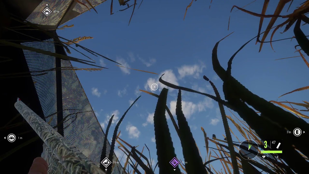 Cotw duck hunting
