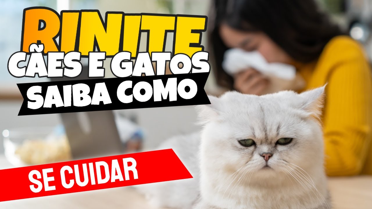 COMO CONVIVER COM GATOS E CACHORROS TENDO RINITE ALÉRGICA