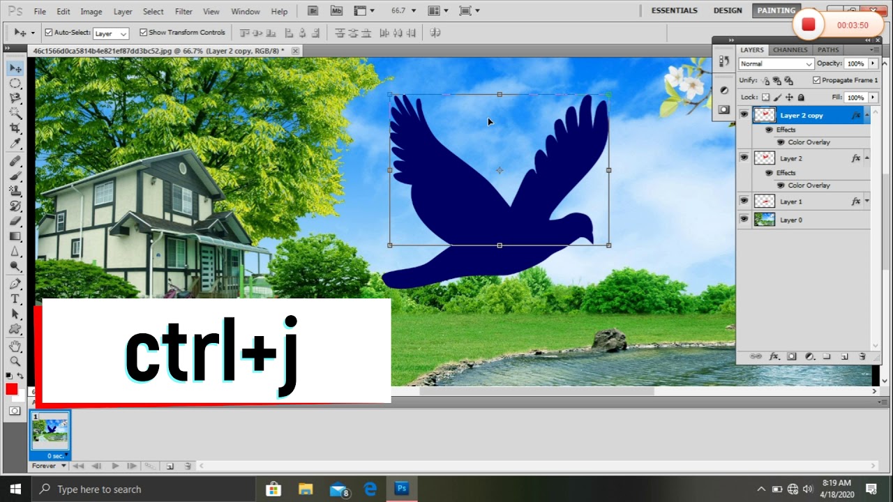 how to animation bird pin photoshop