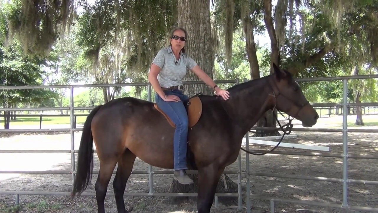 How to Ride without Bouncing: It's Not What You Think