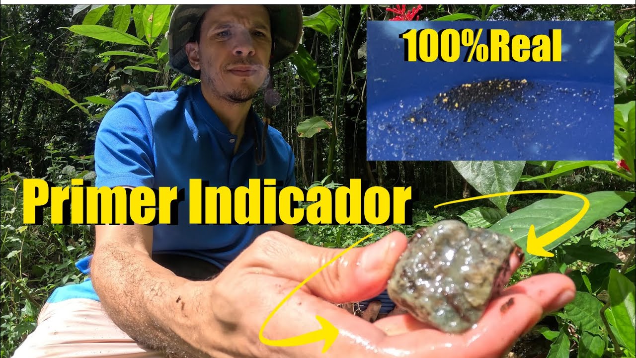 BÚSQUEDA 100% Real Del ORO 