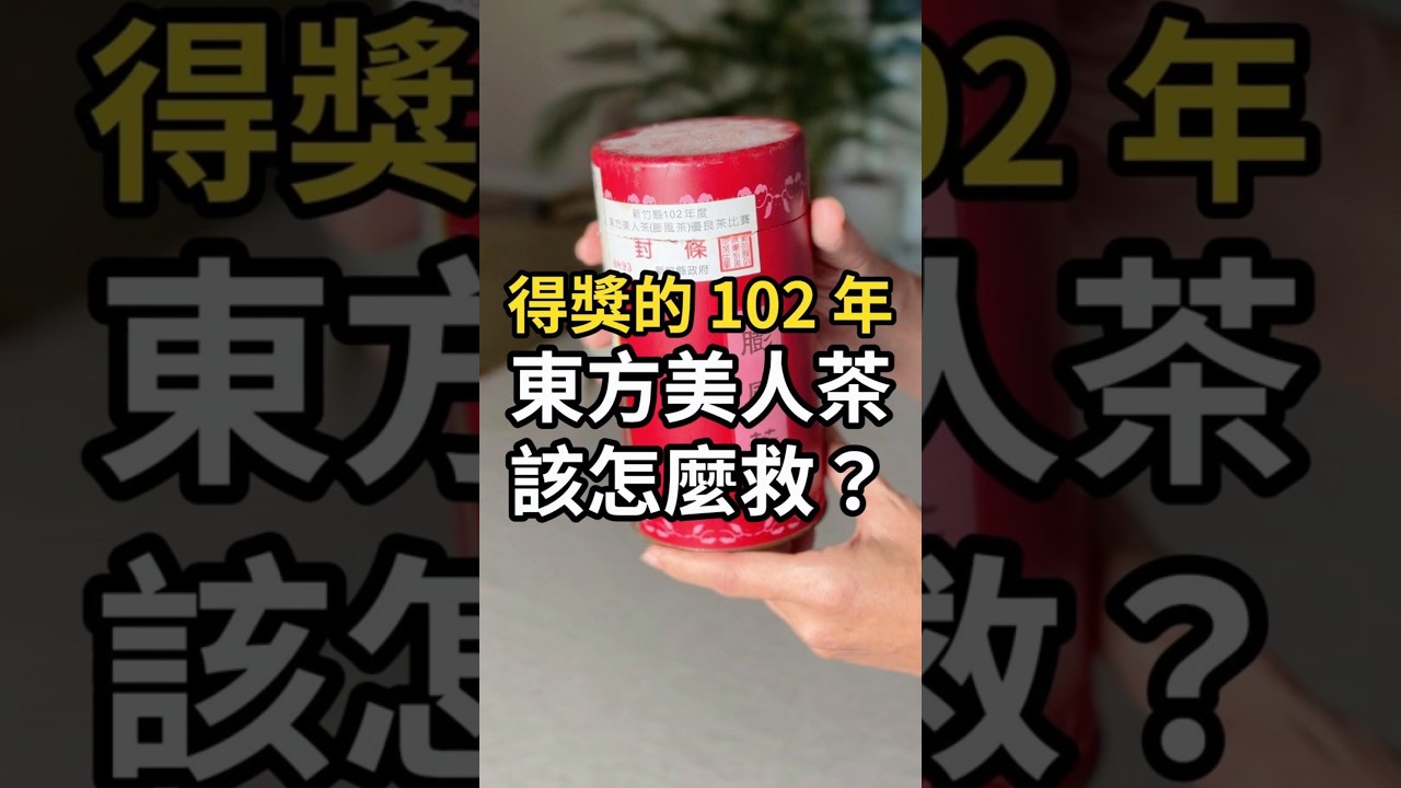 得獎的老東方美人茶該怎麼救？救你的老茶，在家焙茶社團分享  #茶葉烘焙 #台灣茶 #茶  #茶文化