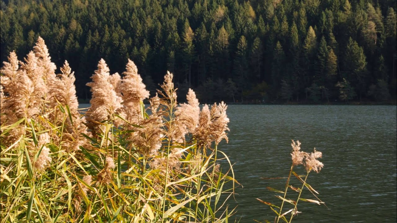SURE ON THIS SHINING NIGHT by Morten Lauridsen - ModusNovi ensemble - Dir. Gian Franco Freguglia