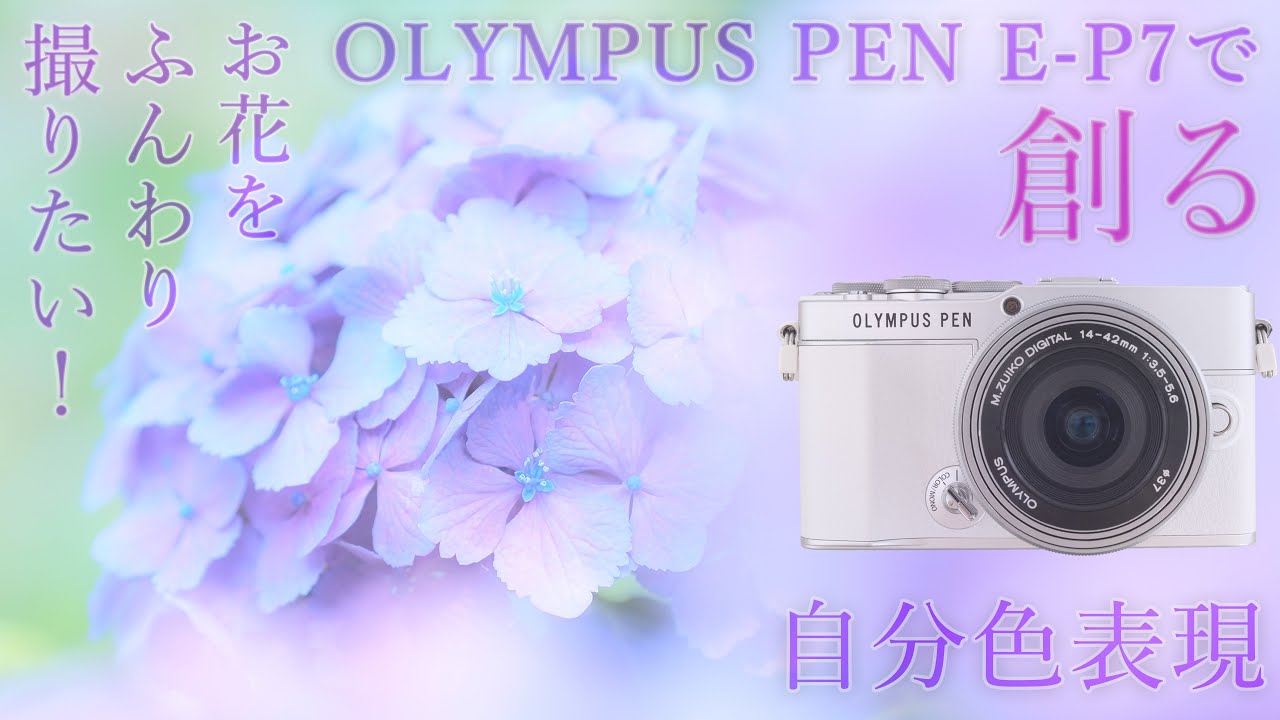 【お花をふんわり撮りたい！】OLYMPUS PEN E-P7で創る自分色表現