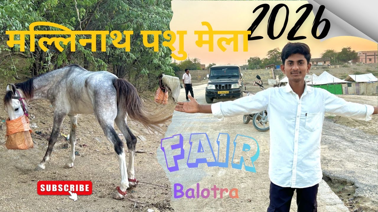 मल्लिनाथ पशु मेला 🐪 ( बालोतरा ) Rajasthan Balotra fair 🐎 || gypsy farm vlog 🐴❤️