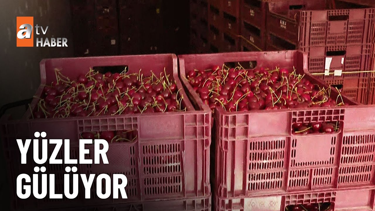 ÖZEL DOSYA – Bakanlık Ulukışla kirazına el attı  - atv Ana Haber 20 Temmuz 2023