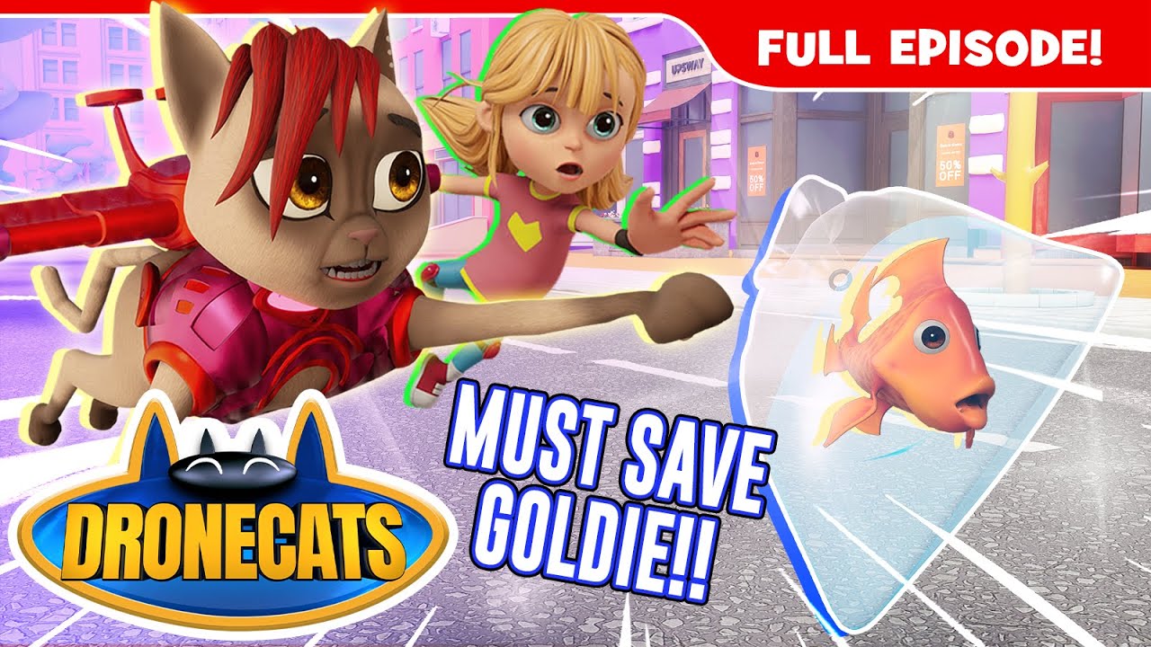 😸🙀DRONECATS!: Search for the Goldie ! | Superhero Cartoon | Mission 02