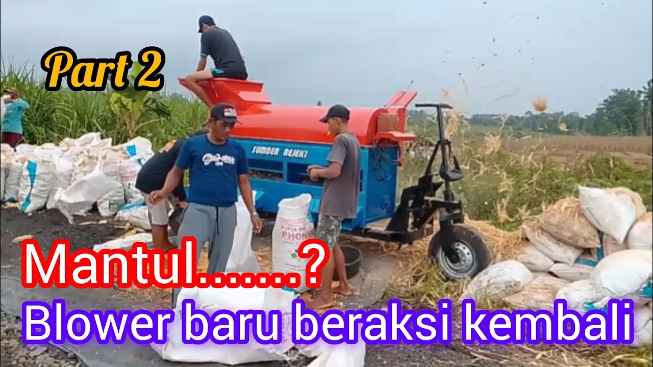 Blower baru beraksi kembali #viralvideo #fypシ゚viral #blowerjagung 