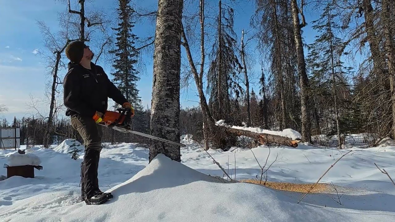 The Forest is a Resource | Harvesting Lumber & Cutting Dangerous Trees