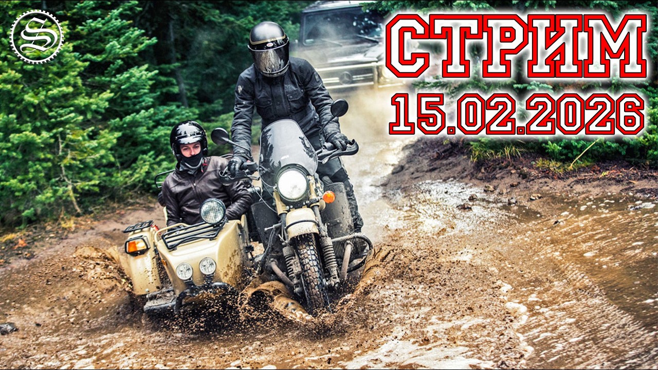 Стрим 15.02.2026