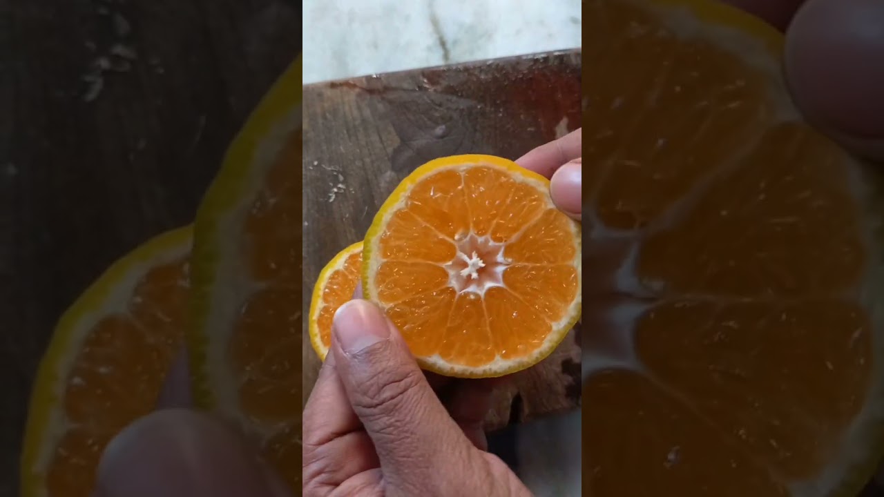 Dekopon orange (mandarin)2024