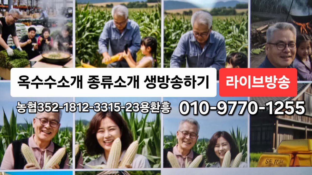 젠하이저 MK2 200 실시간 생방송 #옥수수소개 #옥수수스종류  #맛있는농산물 e신선농장 #생방송연습 #마이크사용하기 #말하기 #동영상길이