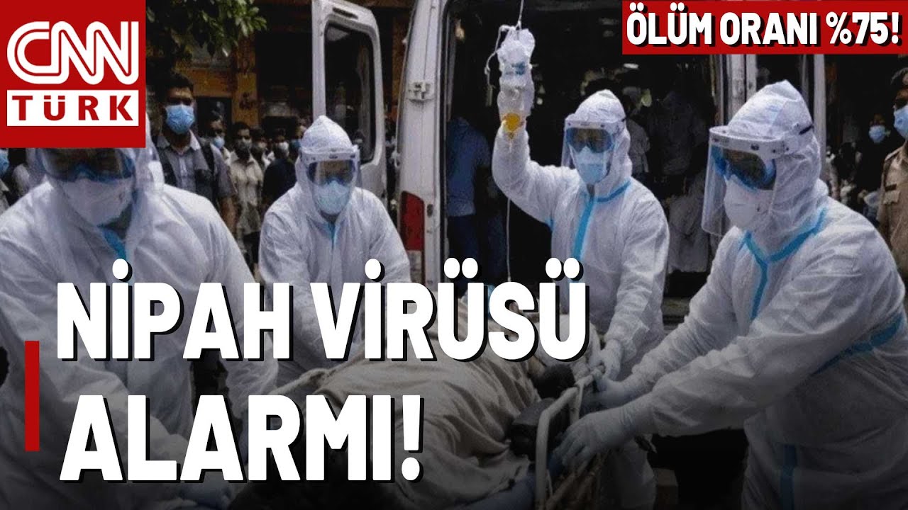 Nipah Virüsünde Ölüm Oranı Yüzde 75! Nipah Virüsü Nasıl Bulaşır, Aşı ve Tedavisi Var Mı?