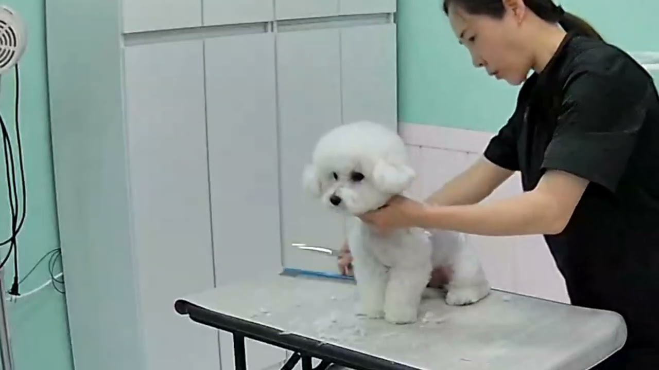 찐빵 가위컷은..