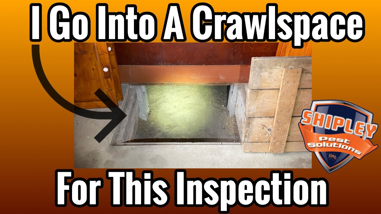 I Go Into A Crawlspace For A Wood Destroying Insect Inspection (WDI)