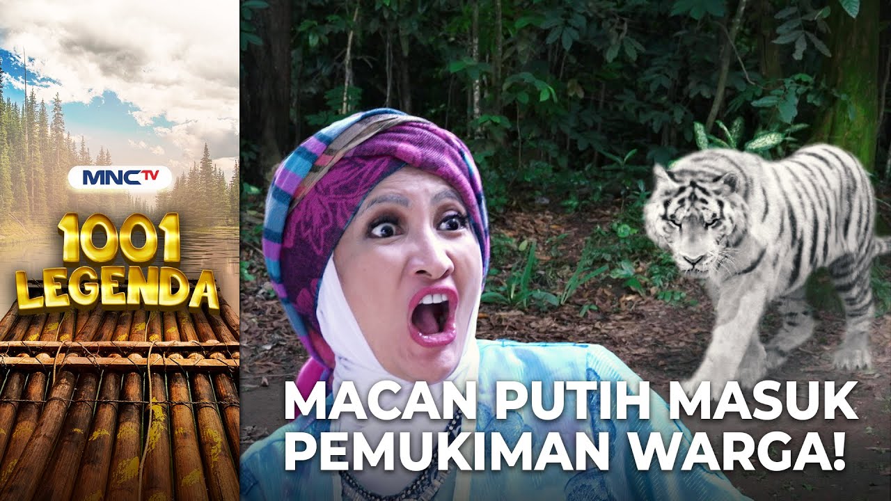 NENEK PANIK!! Macan Putih Menyerang Warga Di Desa | 1001 LEGENDA