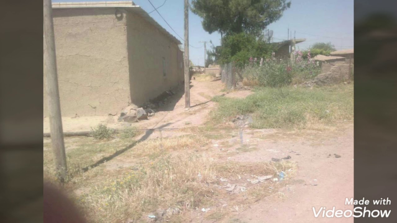 سلو كورو، سلطانة