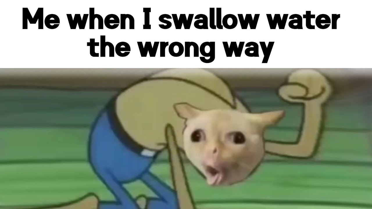 The Best Relatable Memes