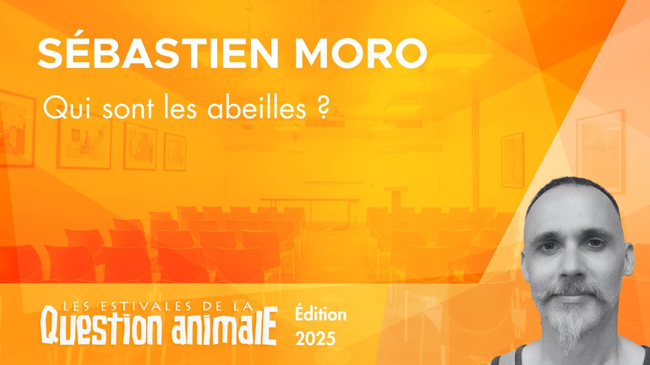 Qui sont les abeilles ? - Sébastien Moro