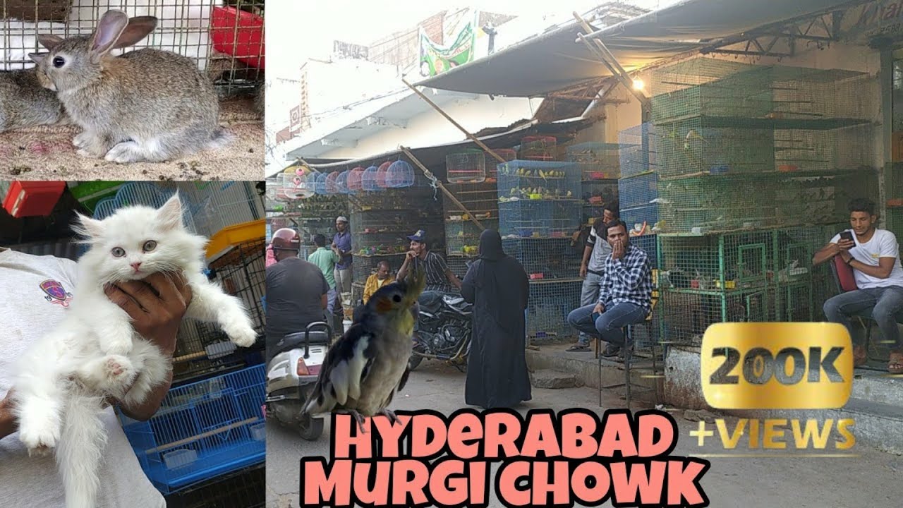 Charminar Murgi Chowk Market