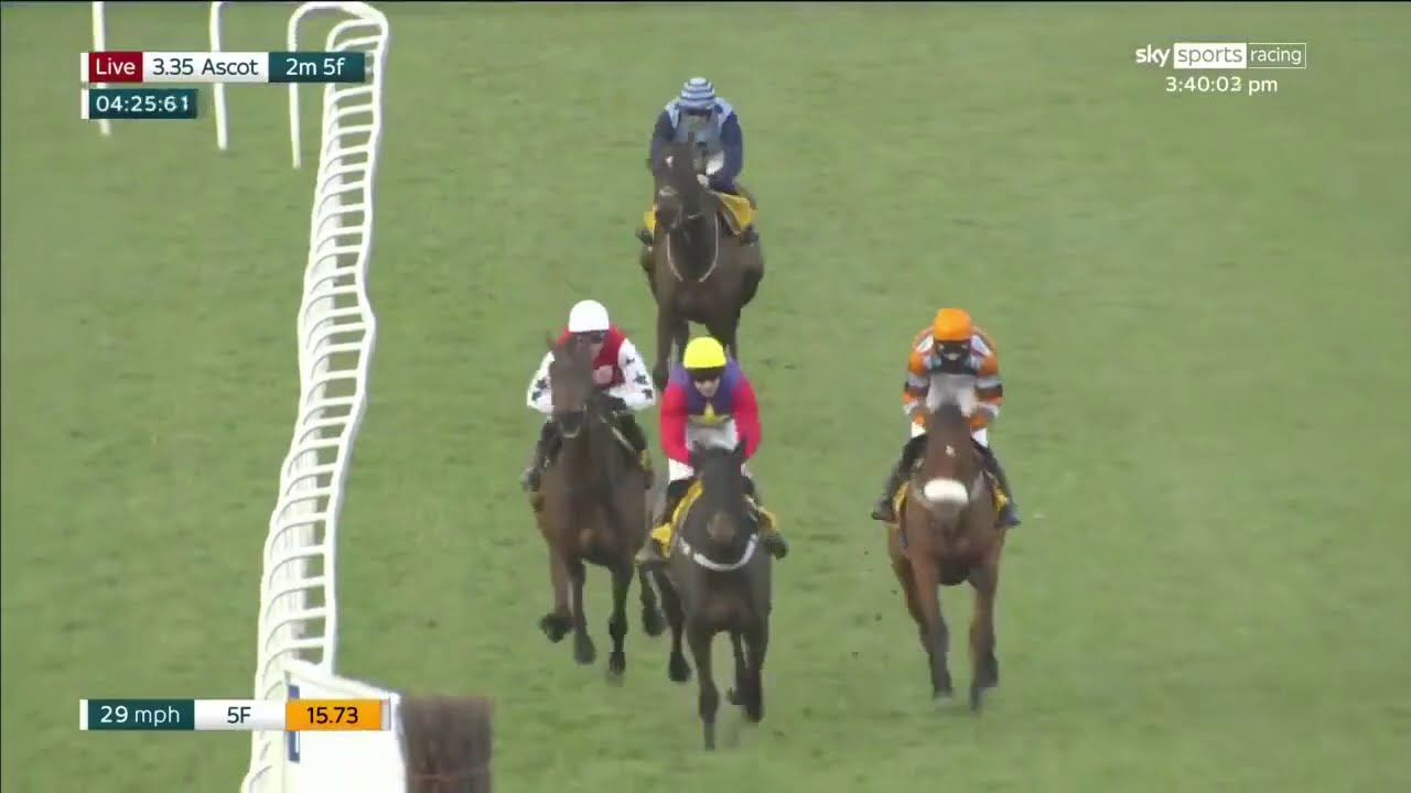 Dashel Drasher wins Grade 1 Betfair Ascot Chase!