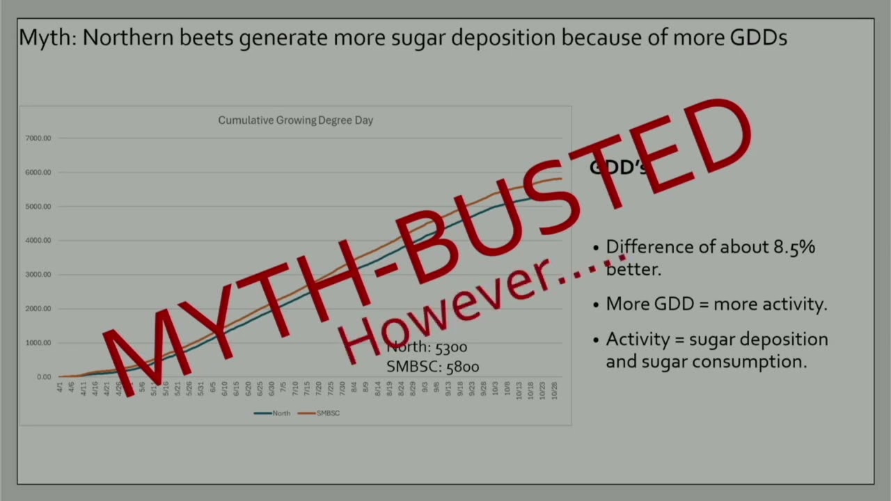 Extractable Sugar Per Acre - Cody Groen