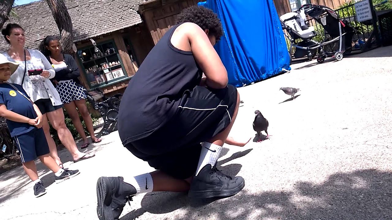 Dante feeding the pigeons at Seaport Village San Diego.