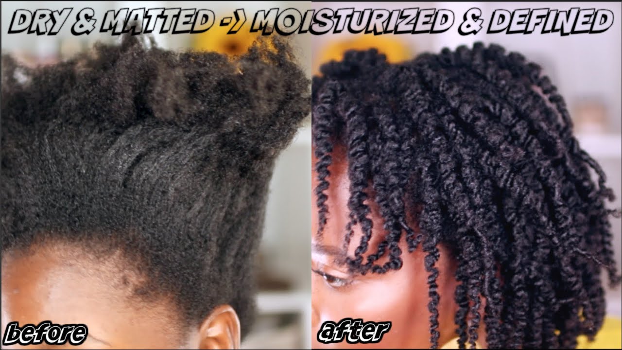 HOW I TRANSFORMED MY DRY MATTED NATURAL HAIR | Honey's Handmade Summer Collection | KandidKinks