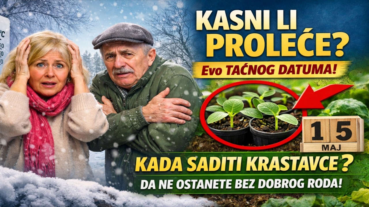 KASNI LI PROLEĆE? 🥶 Evo TAČNOG DATUMA kada saditi krastavce za rasad, da ne ostanete bez dobrog ro