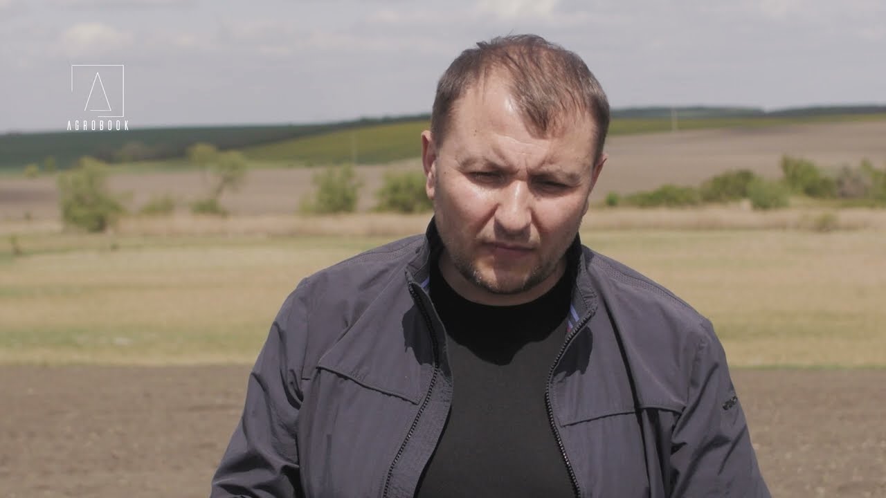 Înghețurile au distrus peste 5.500 ha de sfeclă!