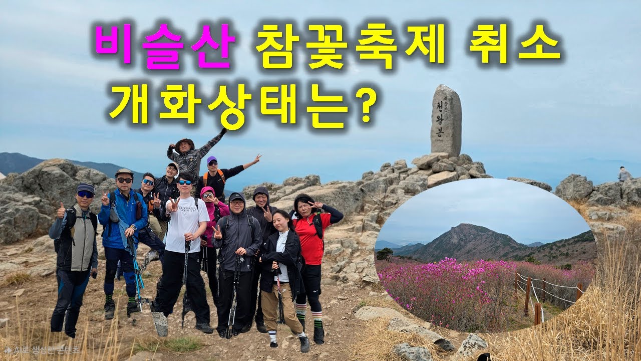 (비슬산) 2025년 참꽃축제 취소, 등산가능코스 및 개화상태