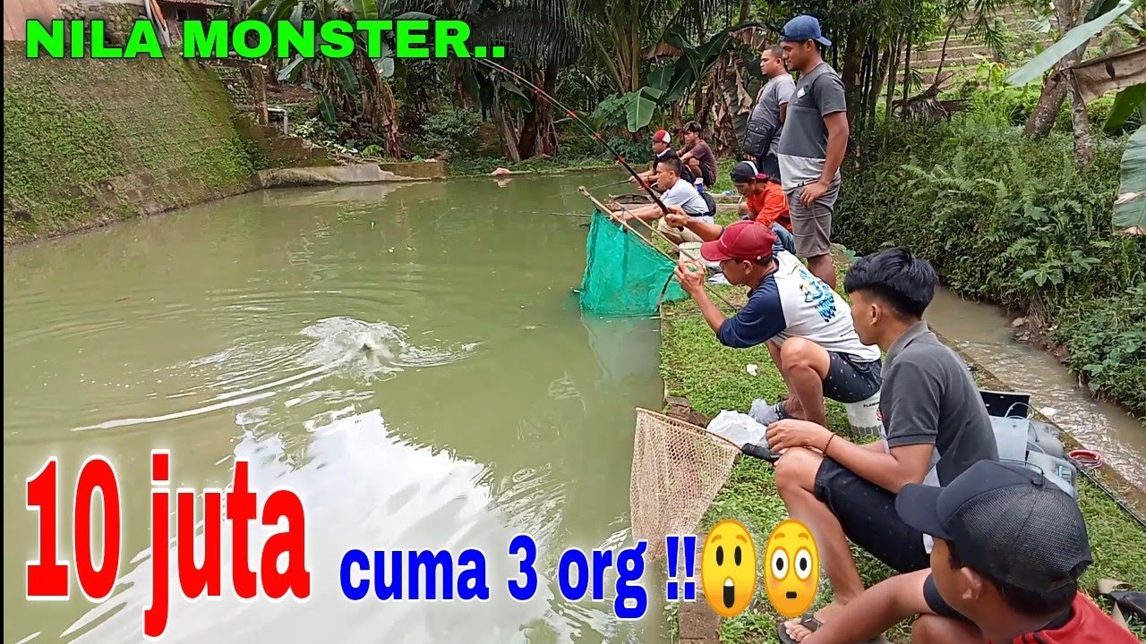 MANCING NILA TERGANAS // DISINI SEMUA TEGANG‼️