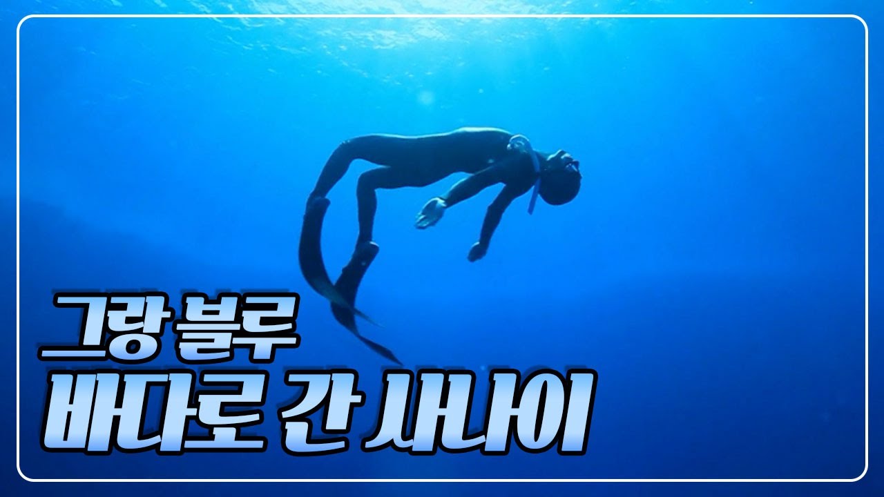 [교양 PICK] 고요하지만 치열한 극한의 수중 스포츠 '프리 다이빙', 자신의 한계에 도전하는 남자 '김동하'의 꿈 [다큐 공감] KBS 130806 방송