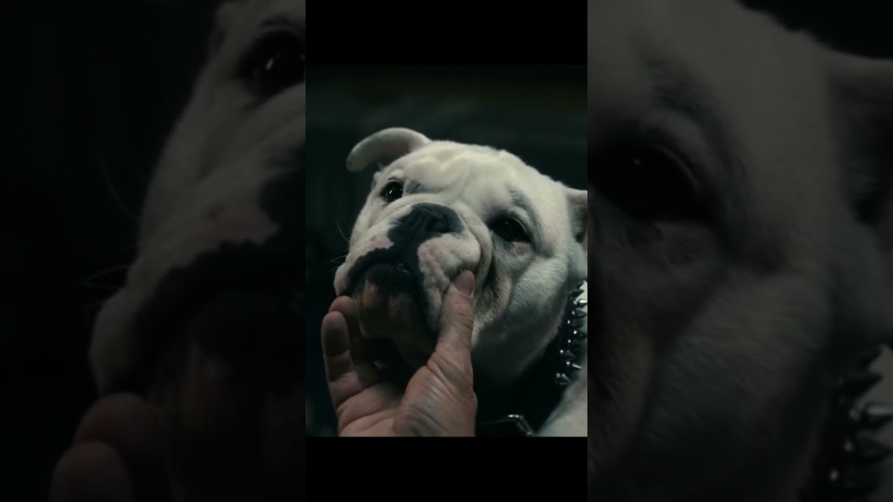 Butcher's Dog Reveals His Future | The Boys