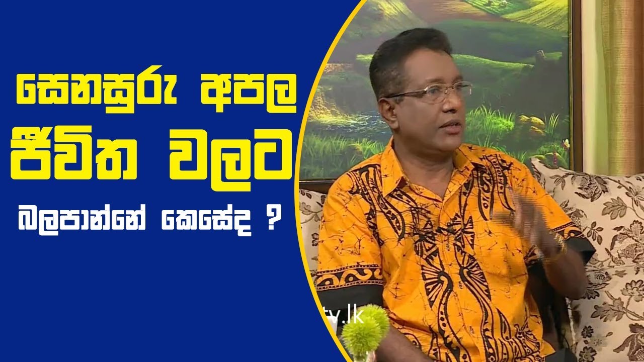 Piyum Vila | සෙනසුරු අපල ජීවිත වලට බලපාන්නේ කෙසේද ? | 13-11-2018