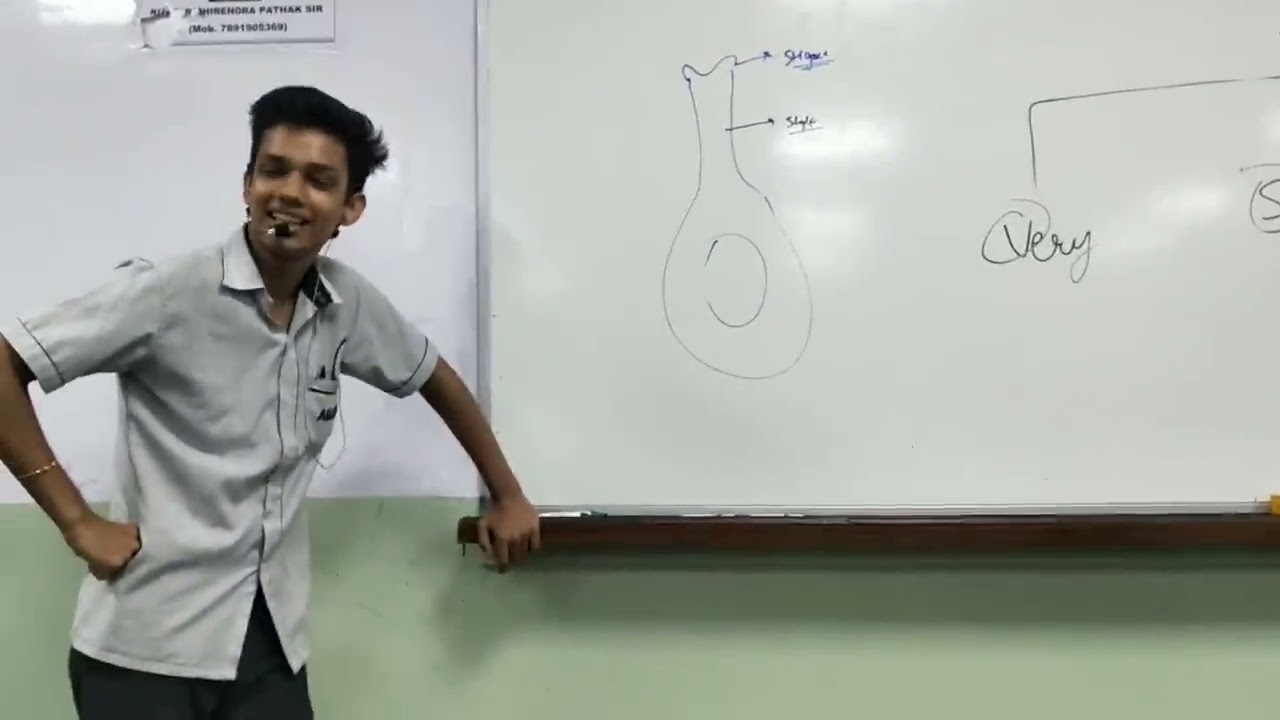 Mimicary VSP SIR FUNDAY CELEBRATIONS MAZP6