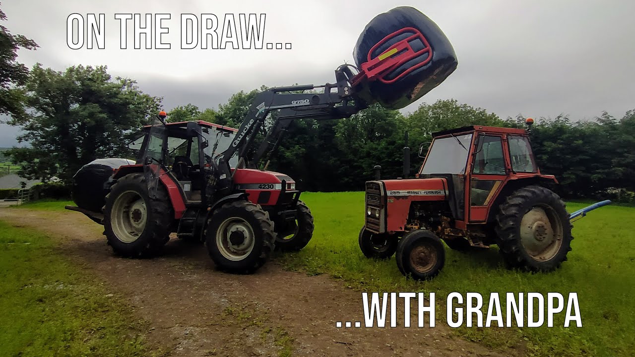 On the DRAW with GRANDPA   ||   #Silage2k20