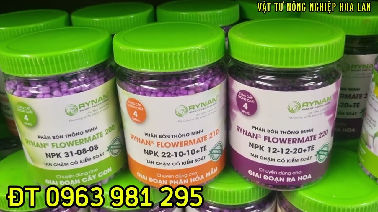 PHÂN BÓN TAN CHẬM RYNAN 3 GIAI ĐOẠN CHĂM LAN, CÂY CẢNH TỪ CÂY CON ĐẾN CÂY TRƯỞNG THÀNH VÀ RA HOA