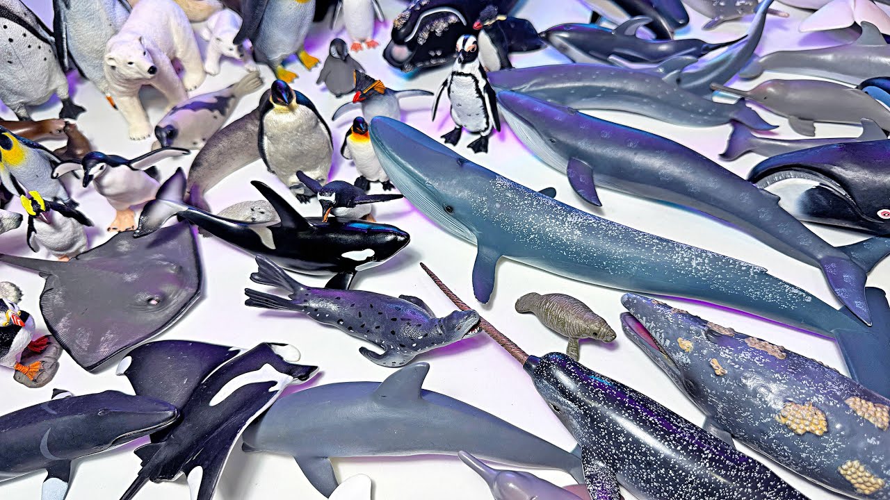 New Sea Animal Toys - Dolphin, Blue Whale, Penguin, Walrus, Seal, Manta Ray, Narwhal, Beluga, Puffin