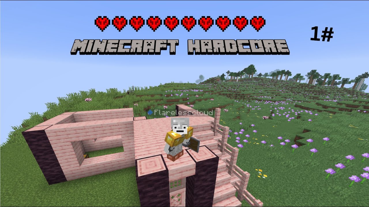 Minecraft Hardcore 1# (modded)